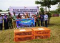 Kutim Kembangkan Ayam Pullet, Kurangi Ketergantungan Pasokan Telur dari Luar Daerah