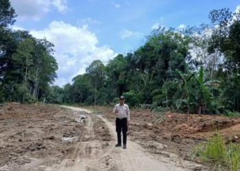 Telen Optimalkan Kemitraan Swasta untuk Membuka Akses Pedalaman