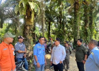 Menjaga Nadi Ekonomi Desa, Pemkab Kutim Bangun Jembatan Tundano Sementara
