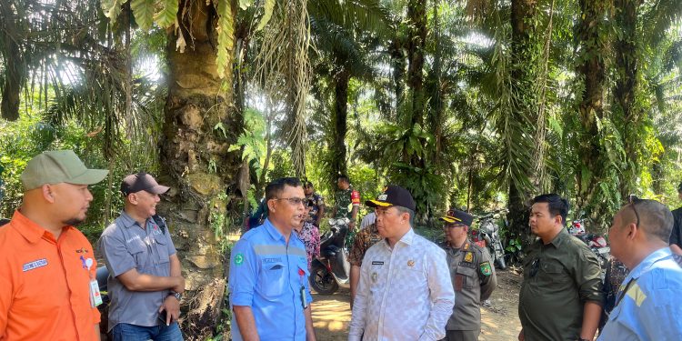 Menjaga Nadi Ekonomi Desa, Pemkab Kutim Bangun Jembatan Tundano Sementara