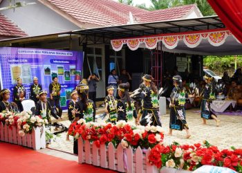 Dukung Ketahanan Pangan Lewat Tradisi Padi Mayas di Sekurau Atas