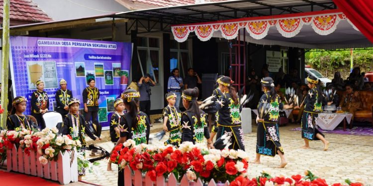 Dukung Ketahanan Pangan Lewat Tradisi Padi Mayas di Sekurau Atas