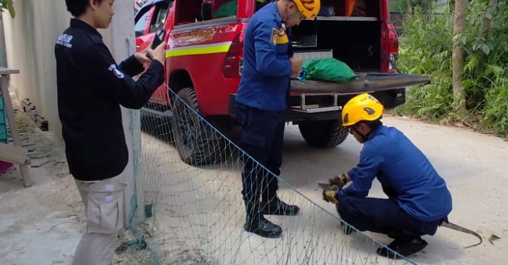Satwa Liar Masuk Permukiman, Damkar Kutim Jadi Garda Terdepan Lindungi Warga Sangatta