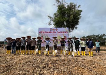 Polres Kutim Dorong Ketahanan Pangan Lewat Penanaman Jagung di Lahan Pascatambang