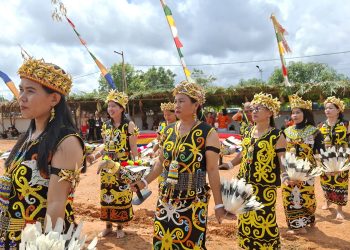 Festival Budaya Kayan UFAH Dorong Ekonomi Lokal dan Buka Wisata Budaya
