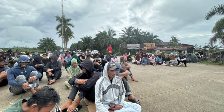 Pernyataan Resmi Nelayan Kerang Dara Terkait Realisasi Tali Asih PHSS