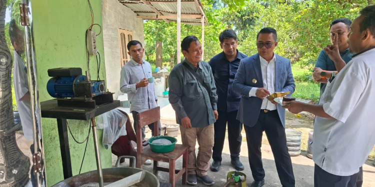 Kutim Siapkan Rantai Pengembangan Aren dari Bibit hingga Produk Turunan
