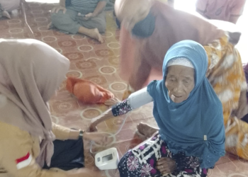 Desa Diminta Turut Serta Cegah dan Tangani Penularan AIDS, TBC, dan Malaria