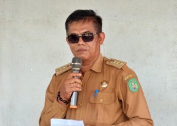 Pangan Teluk Pandan di Antara Kebijakan, Sawit, dan Ancaman Banjir