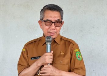 Dari Lahan ke Pasar, Teluk Pandan Menyiapkan Ekosistem Hortikultura