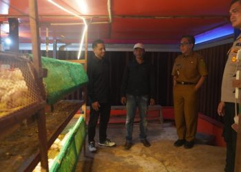 Warga Teluk Pandan Perluas Sumber Penghasilan Lewat Peternakan Ayam