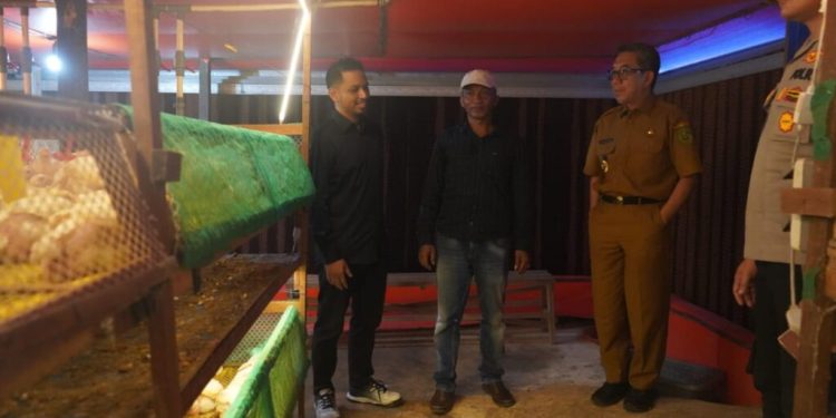 Warga Teluk Pandan Perluas Sumber Penghasilan Lewat Peternakan Ayam
